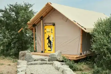 Кенгуру - 0