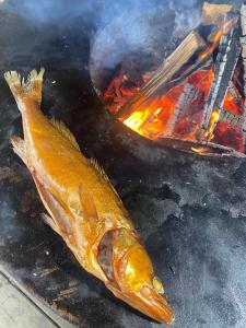 Селигер виледж - 47