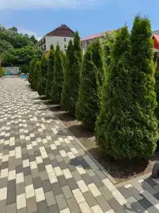 Прибой - 1