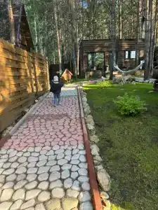 Магия леса - 32