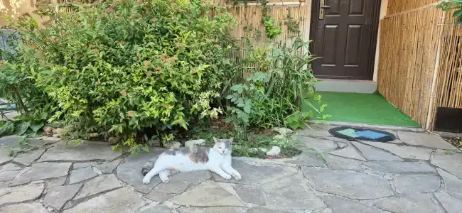 Inn Orlovka 32/30 - 77