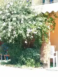 Inn Orlovka 32/30 - 82