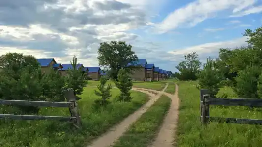 Пасека - 20