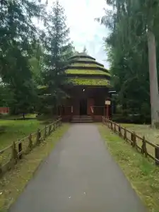 Каменюки - 31