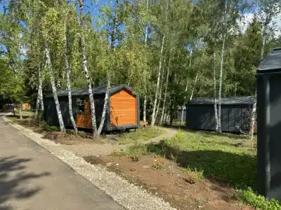 Чайка - 40
