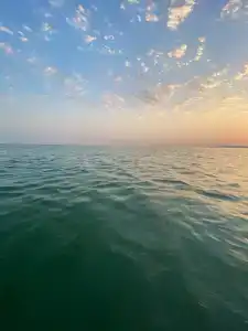 Лазурный - 38