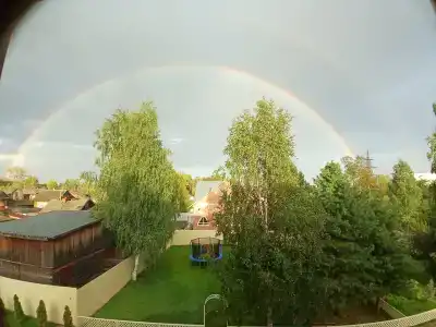 Две берёзки - 22