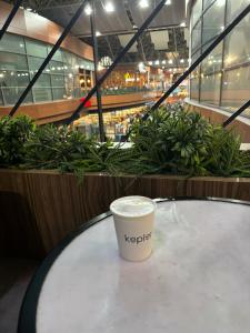 Kepler Club Sabiha Gökçen Airport - International Transit Area - 44