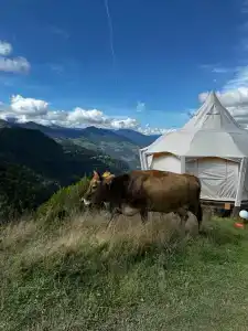 Glamping Tago - 30
