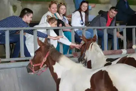 Кск Созвездие Sochi - 17