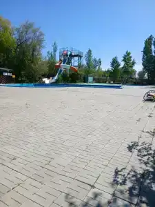 Березовые дали - 8