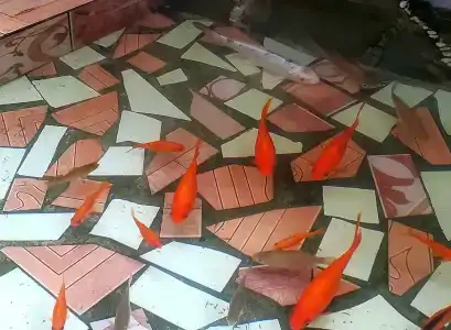 Алла-Рома - 50