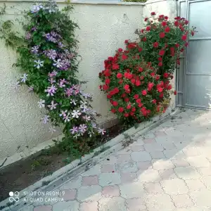 Райский уголок - 16