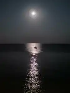 Лонгвина - 97