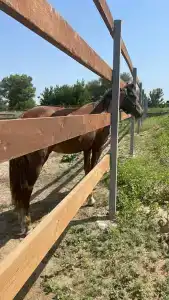 Усадьба Заилечье - 42