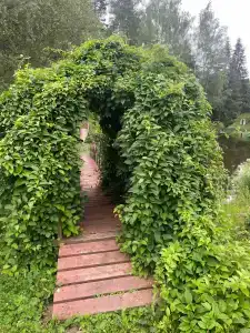 Усадьба Запруднево - 80