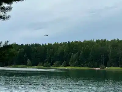 Егория - 14