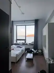 Cedar Grass Териберка - 56