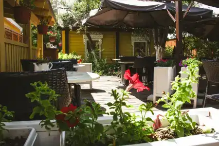 Империал - 6