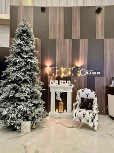 Виктория Олимп отель и бизнес-центр - 40