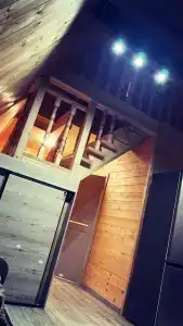 Снежная сова - 26