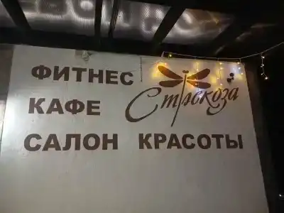 Стрекоза - 10