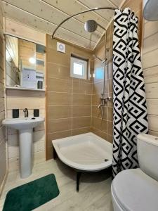 Амбассадор - 24