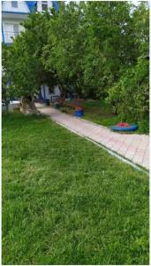 Вирджиния - 15