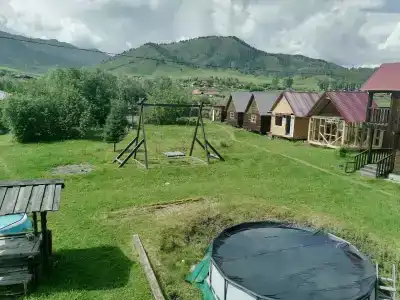 Золотая пчела - 20