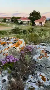 Генеральские домики - 36