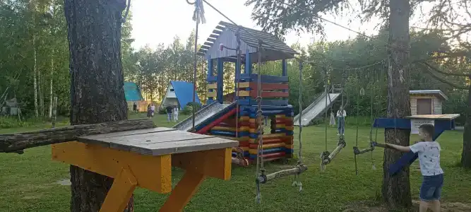 Золотой фазан - 40