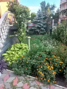 Артур - 5