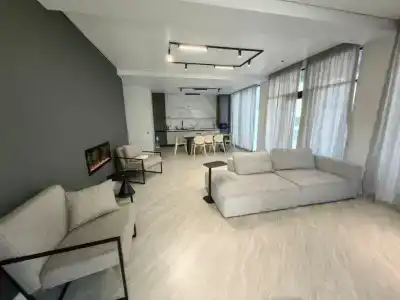 Павлония - 31