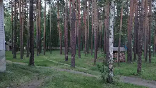 Омега - 13
