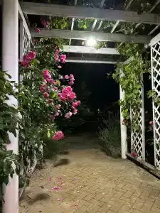 Azovskaya Rivera - 7