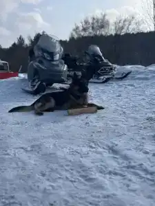 Гостевой дом на Орловской - 22