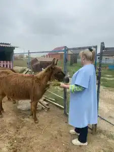 у Гульзары - 18