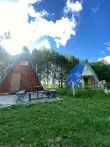 Золотой фазан - 17