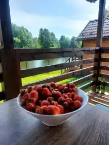 Утро на заводи - 31