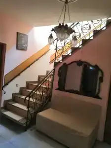 Магнолия - 0