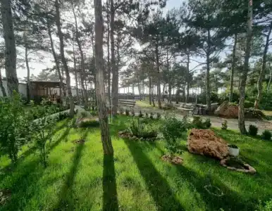 Песчаный берег - 47