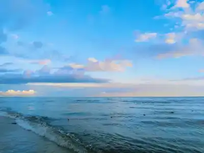 Маргарита - 49