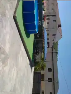 Агава - 6
