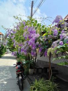 At Lamai Resort - 14
