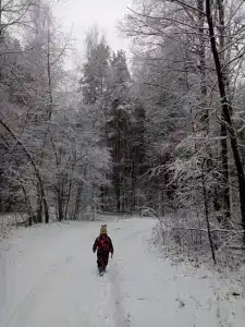 Круиз Вилладж - 84