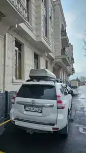 Siab - 10