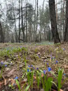 ПриродаРОДА - 6