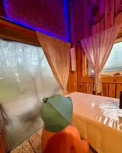 Магия леса - 86