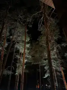 Наедине с Эльбрусом - 23