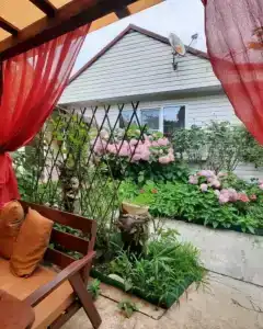 Усадьба Пантелея - 49